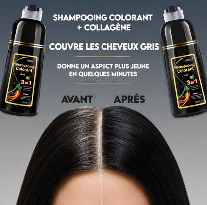 Shampoing Colorant Noir 3 en 1 – Cheveux & Barbe